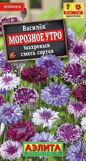 Морозное утро
