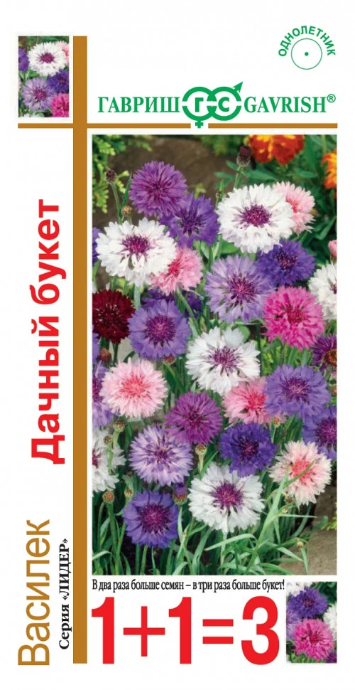 Дачный букет