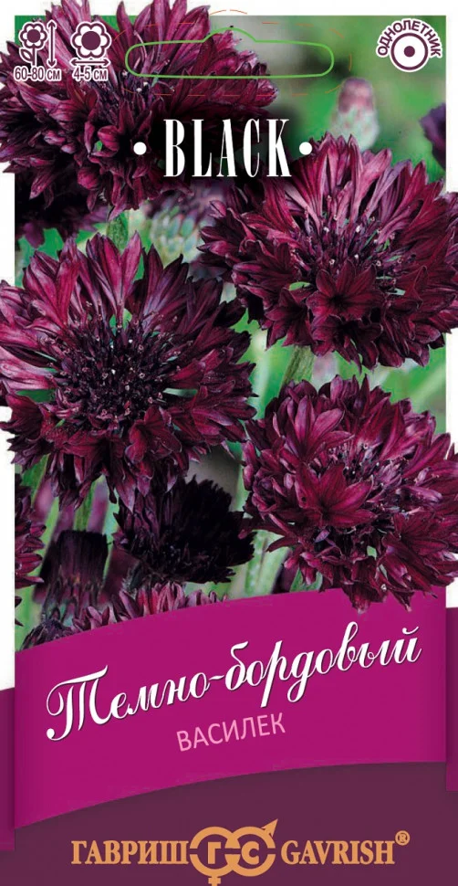 Темно-бордовый