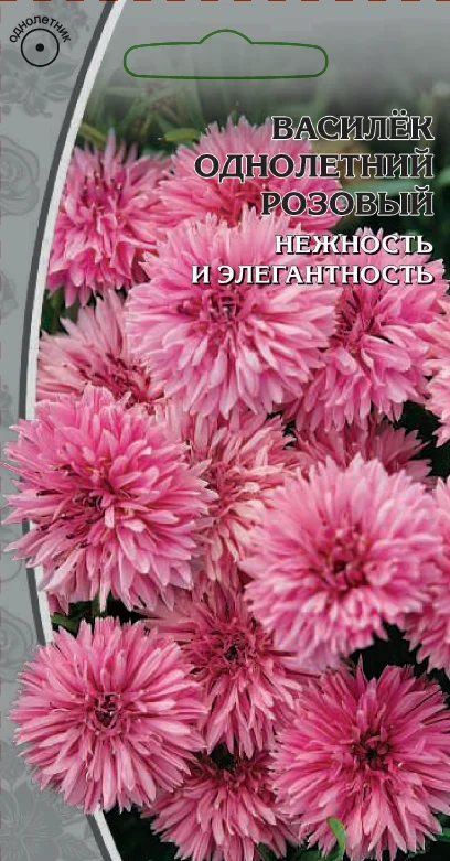 Однолетний розовый