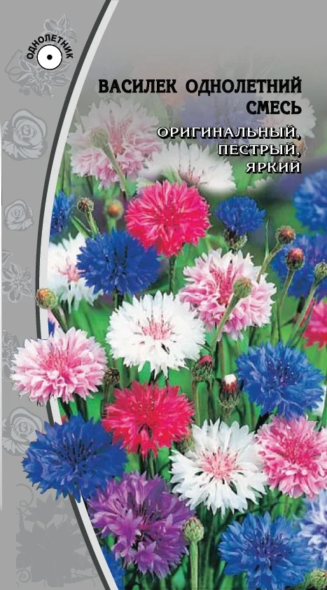 Однолетняя смесь