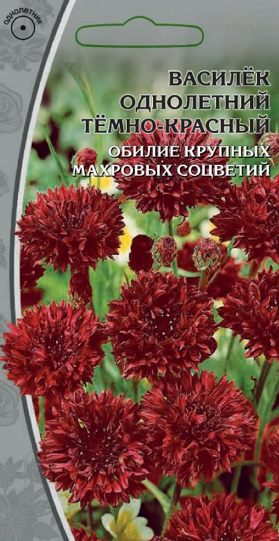 Однолетний темно-красный