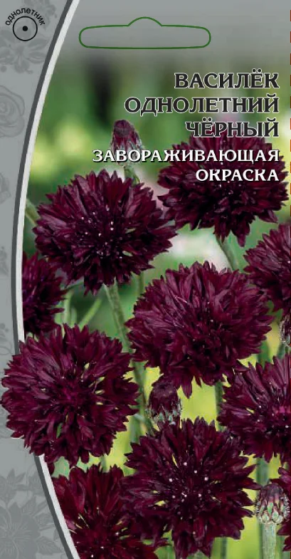 Однолетний черный