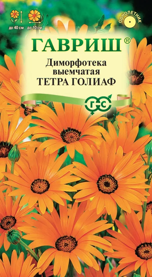 Тетра Голиаф