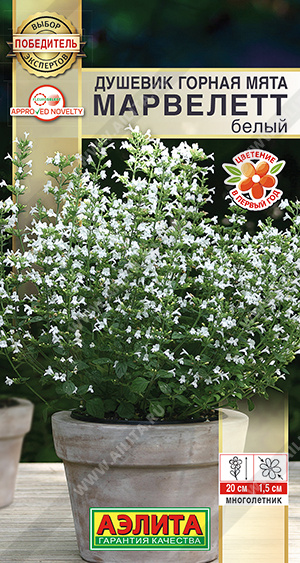 Горная мята марвелетт белый
