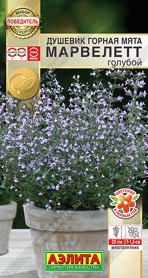 Горная мята марвелетт голубой