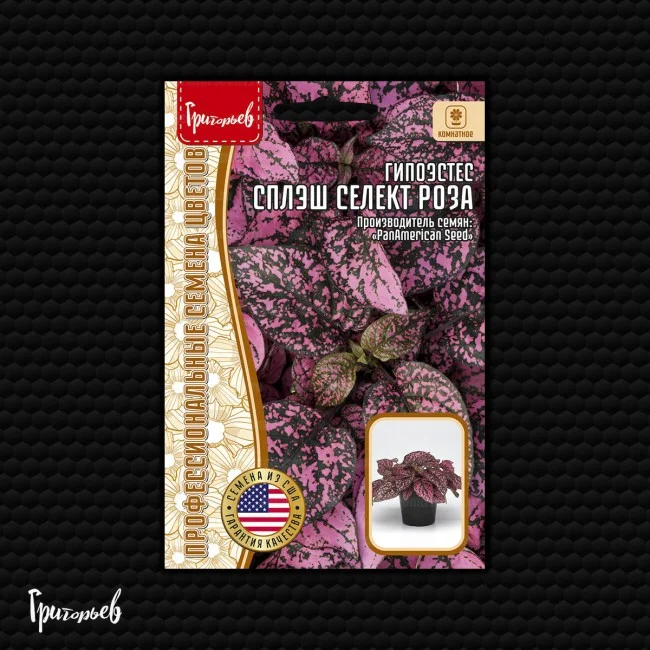 Сплэш Селект Роза