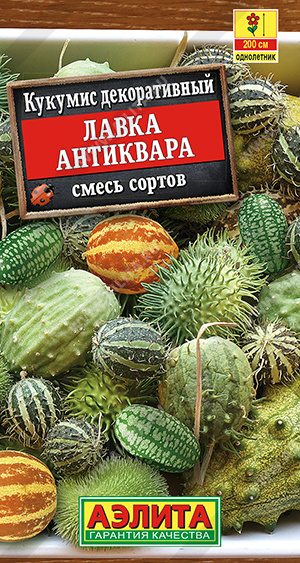 Лавка антиквара