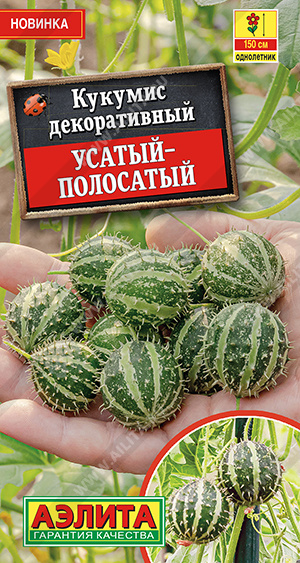 Усатый-полосатый