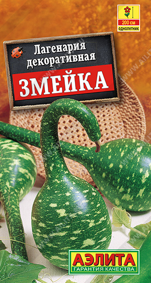 Змейка