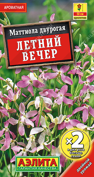 Летний вечер