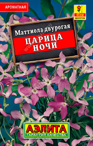 Царица ночи