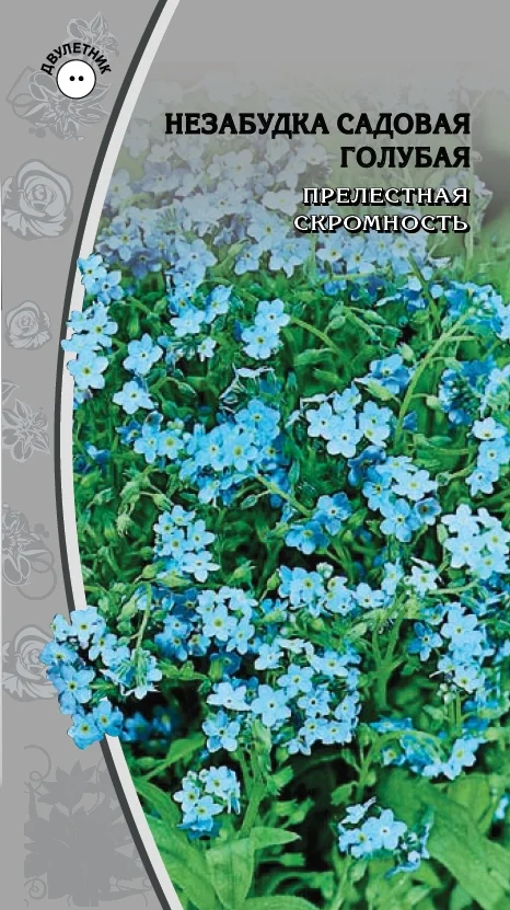 Садовая голубая