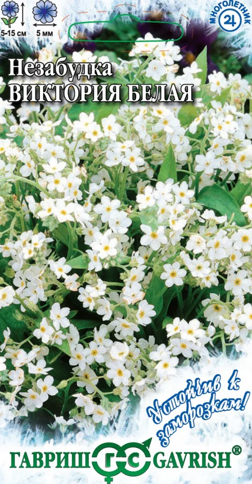 Виктория белая