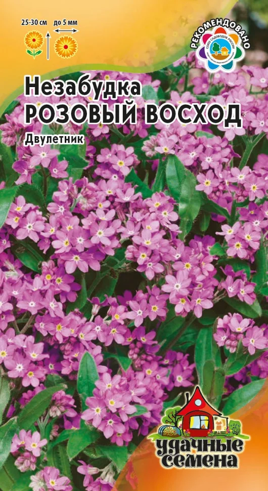 Розовый восход