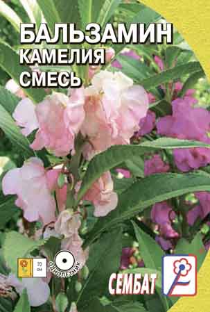 Бальзамин Камелия смесь