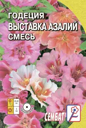 Годеция Выставка Азалий смесь 
