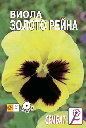 Виола Золото Рейна