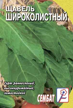 Щавель Широколистный