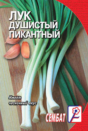 Лук душистый Пикантный (с ароматом чеснока)