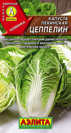 Капуста пекинская Цеппелин