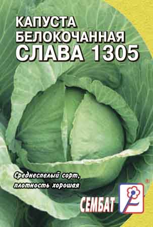 Капуста б/к Слава 1305
