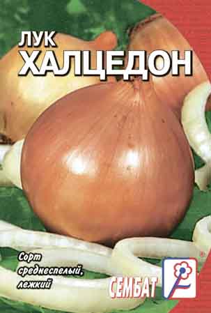 Лук репчатый Халцедон