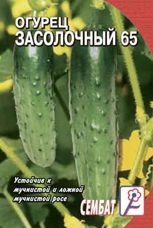 Огурец Засолочный
