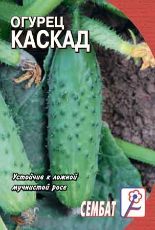 Огурец Каскад