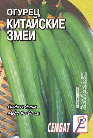 Огурец Китайский змей
