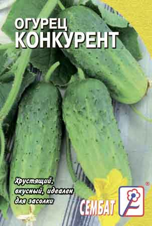 Огурец Конкурент