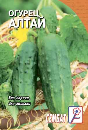 Огурец Алтай