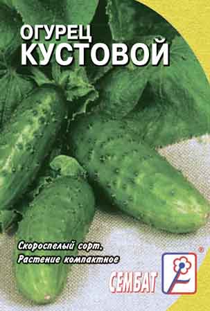 Огурец Кустовой