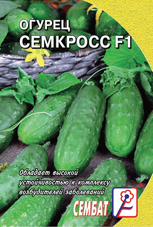 Огурец Семкросс F1