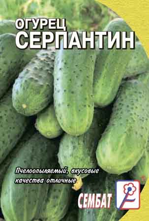 Огурец Серпантин