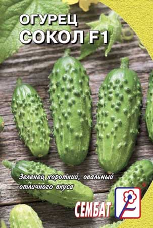 Огурец Сокол F1