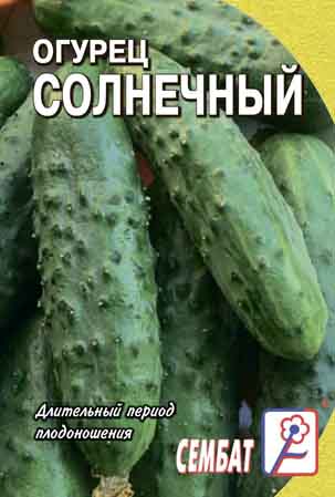 Огурец Солнечный