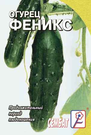 Огурец Феникс