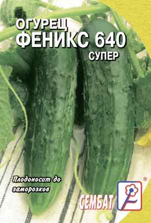 Огурец Феникс 640 супер