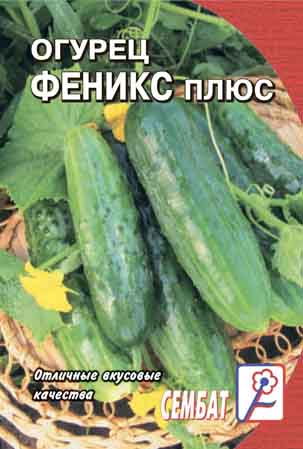 Огурец Феникс Плюс