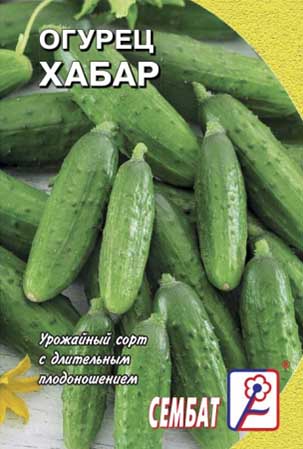 Огурец Хабар