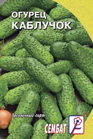Огурец Каблучок