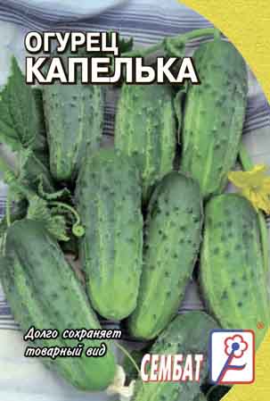 Огурец Капелька