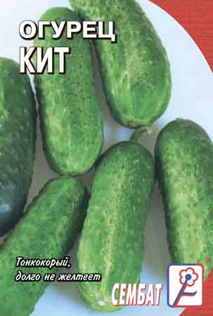 Огурец Кит