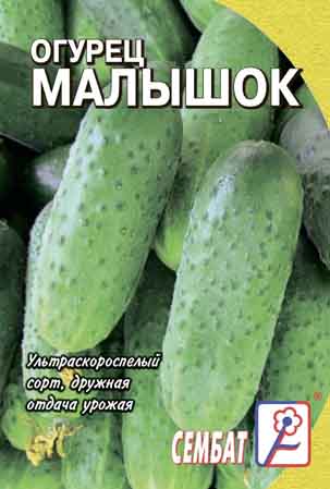 Огурец Малышок