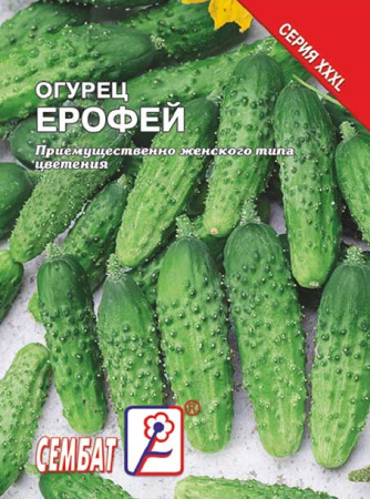 Огурец Ерофей