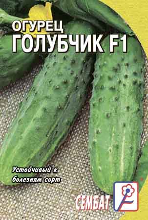 Огурец Голубчик F1