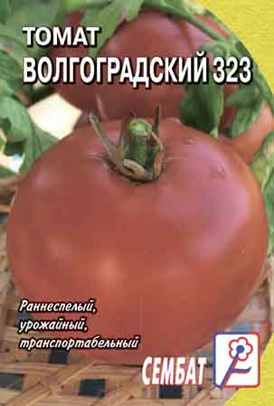 Томат Волгоградский скороспелый 323