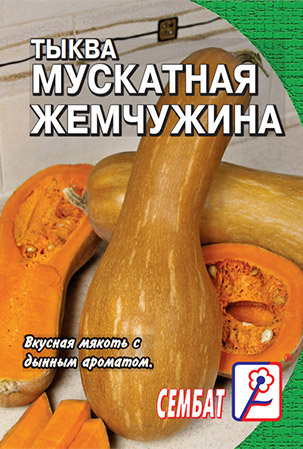 Тыква мускатная Жемчужина