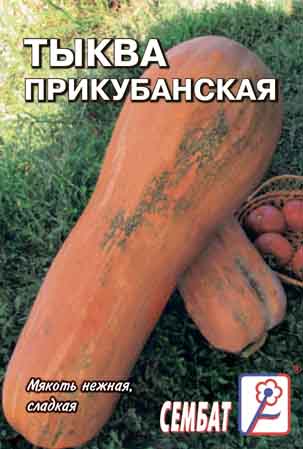 Тыква Прикубанская